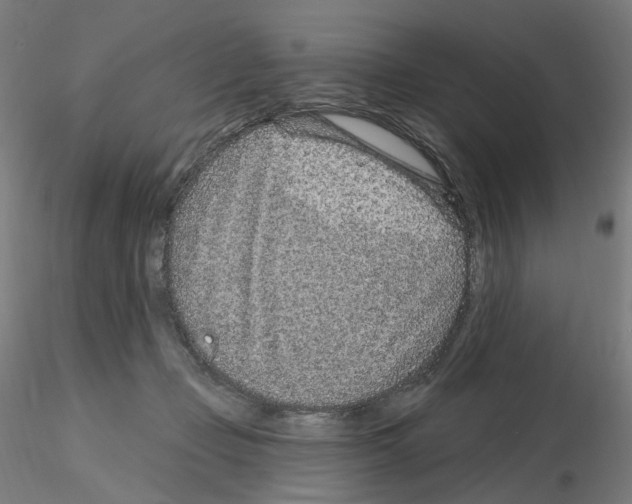X0000115630365200912221254