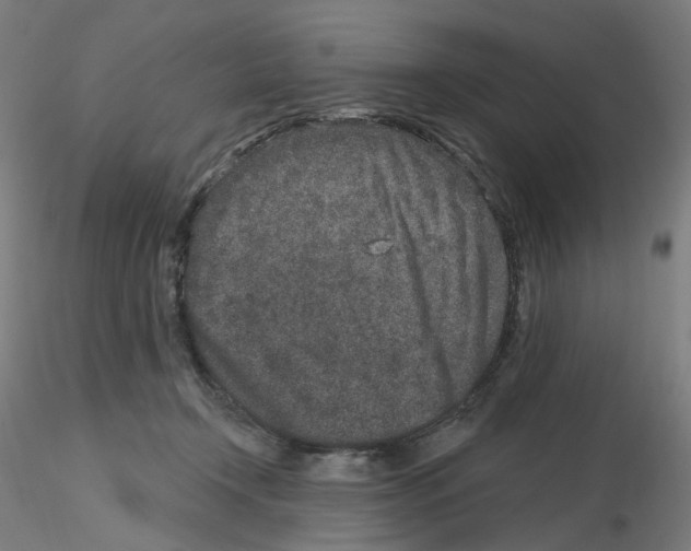 X0000115630366200912221254
