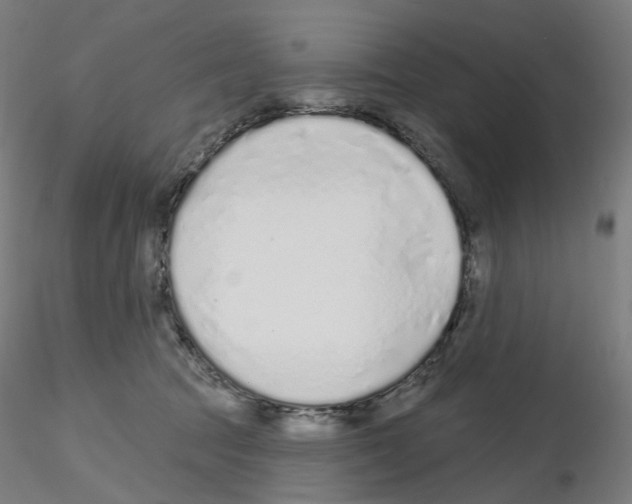X0000115630369200912221254