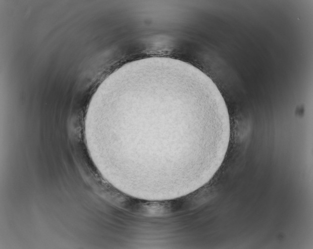 X0000115630370200912221254