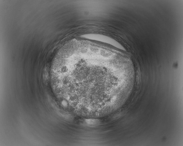 X0000115630371200912221254