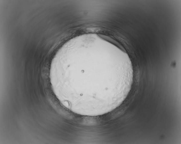 X0000115630373200912221254