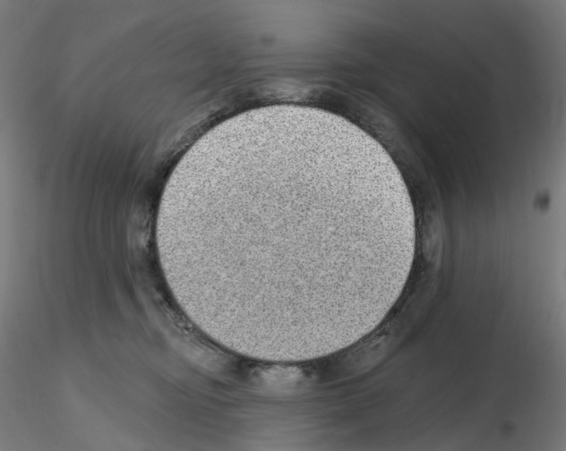 X0000115630374200912221254