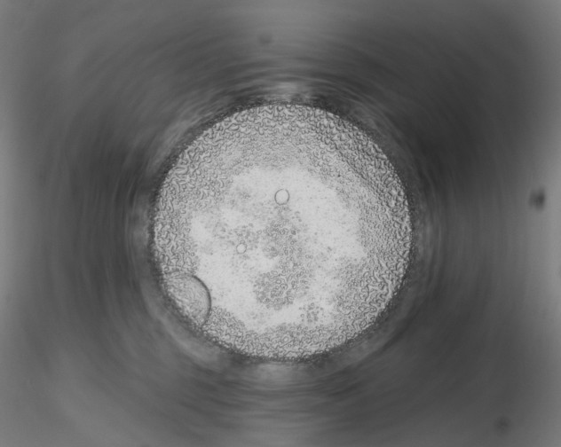 X0000115630375200912221254