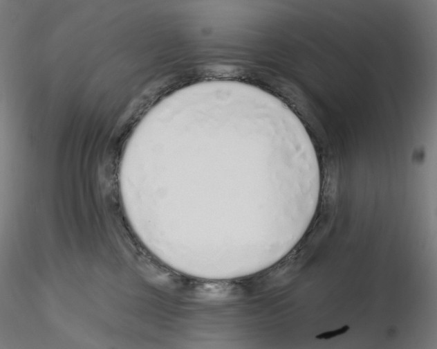 X0000115630377200912221254
