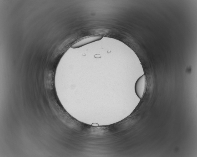 X0000115630378200912221254