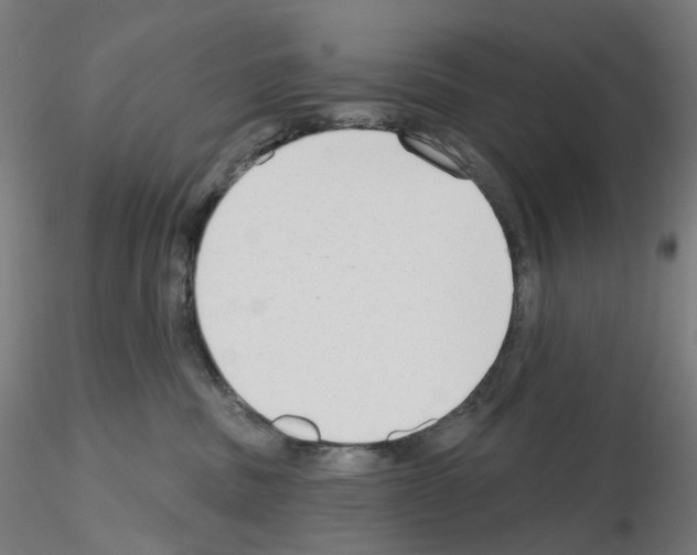 X0000115630379200912221254