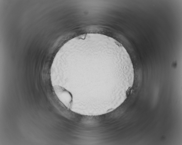 X0000115630381200912221254