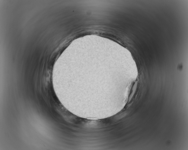 X0000115630382200912221254