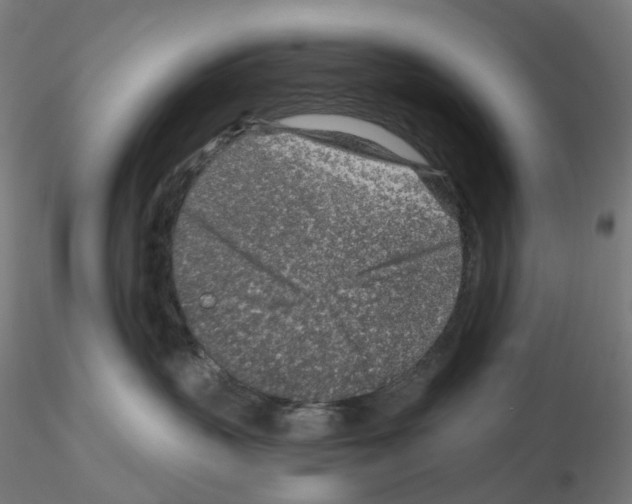 X0000115630383200912221254