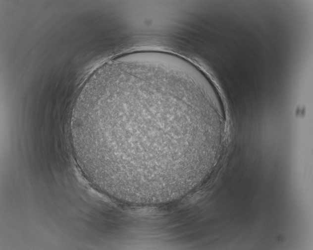 X0000115630385200912221253