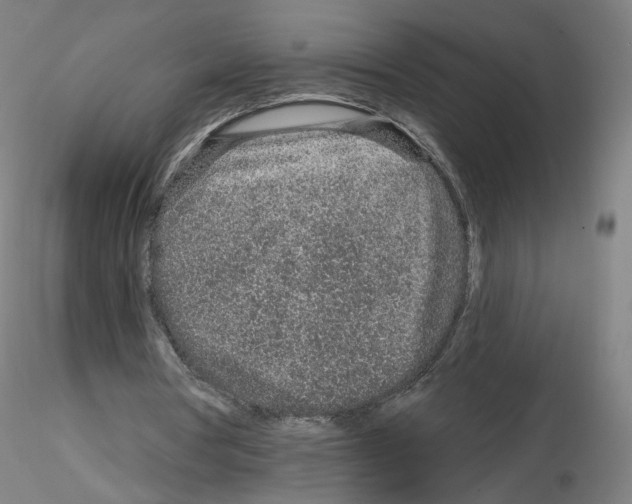 X0000115630386200912221253