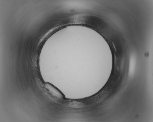 X0000115630387200912221253