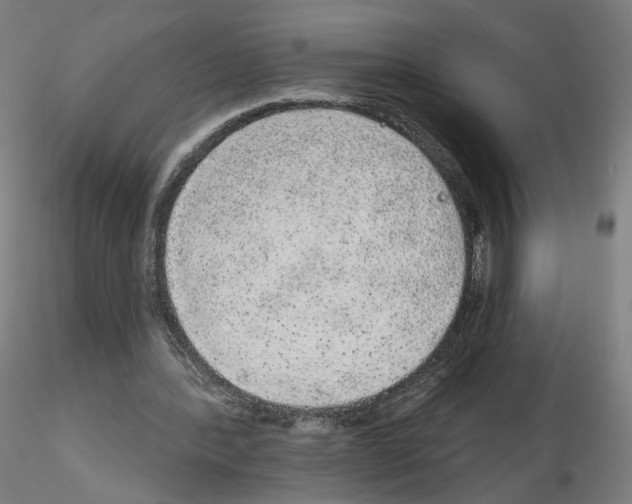 X0000115630388200912221253