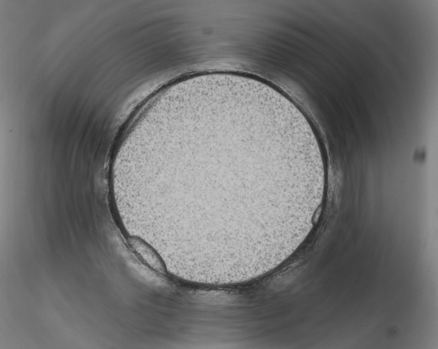 X0000115630389200912221253