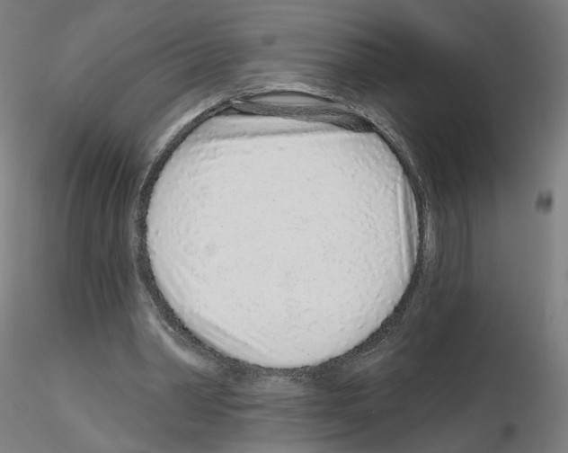 X0000115630390200912221253