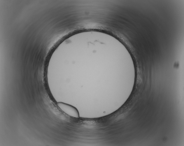 X0000115630391200912221253