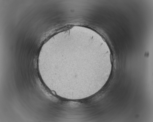 X0000115630393200912221253