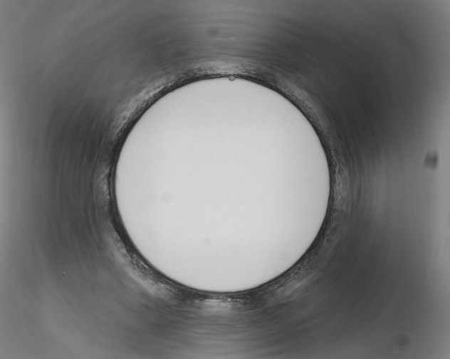 X0000115630394200912221253