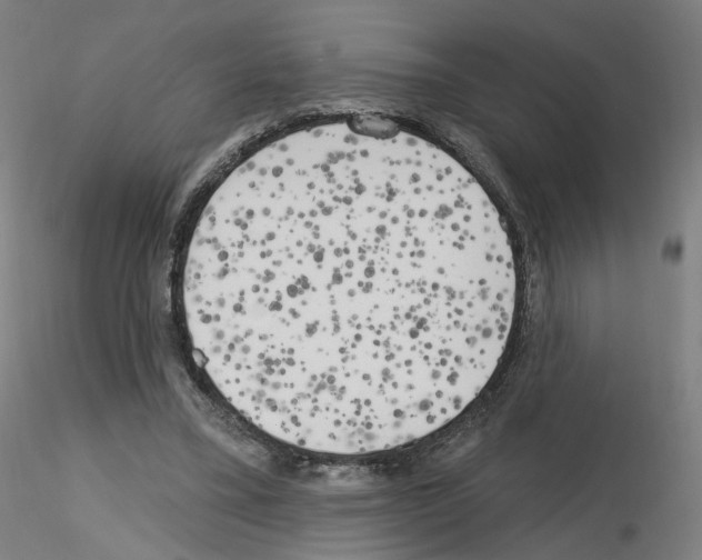 X0000115630395200912221253