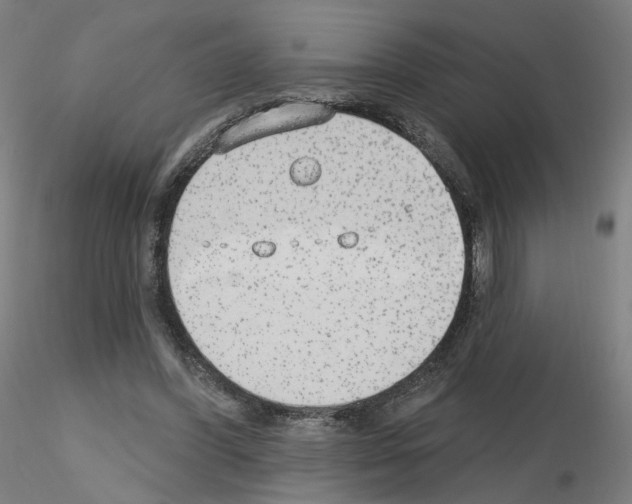 X0000115630396200912221253