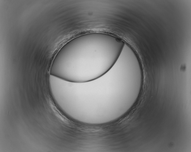 X0000115630397200912221253