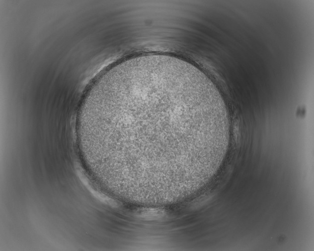 X0000115630398200912221253