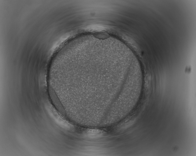 X0000115630399200912221253