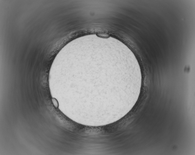 X0000115630401200912221253
