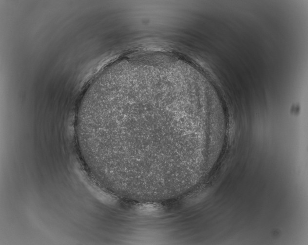 X0000115630402200912221253