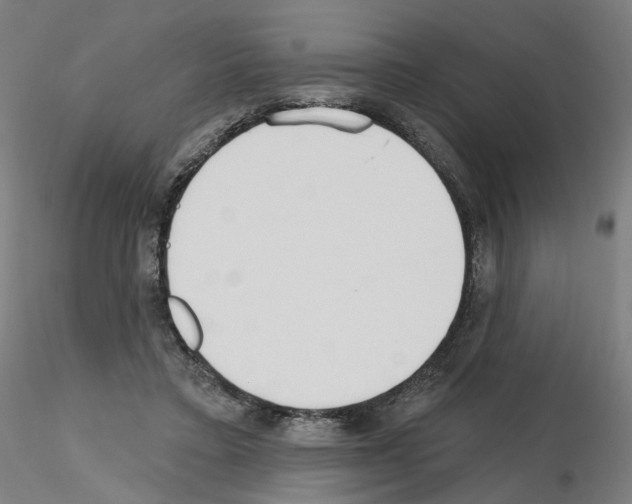 X0000115630403200912221253