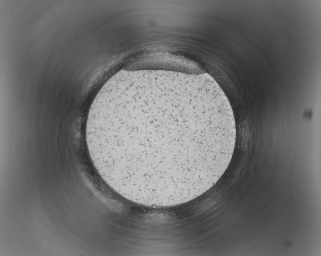 X0000115630404200912221253