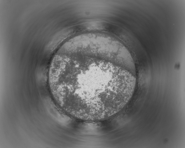 X0000115630405200912221253