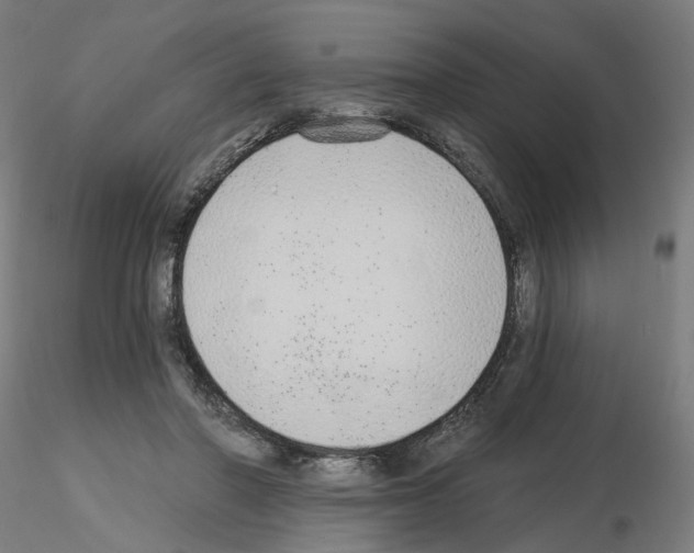 X0000115630406200912221253