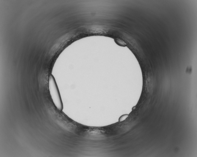 X0000115630407200912221253