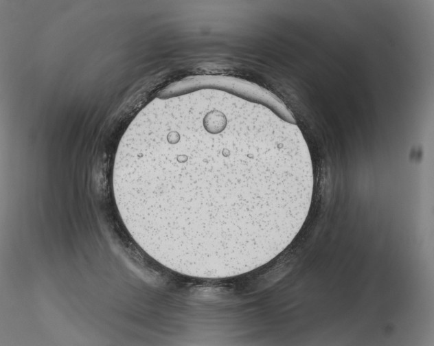 X0000115630408200912221253