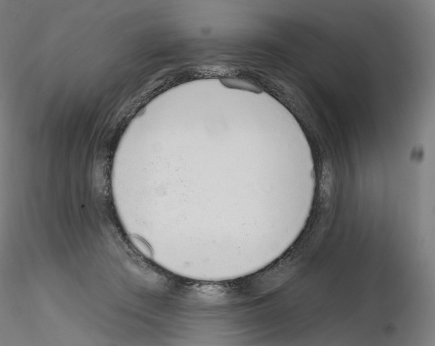 X0000115630409200912221253