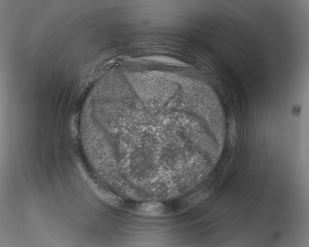 X0000115630410200912221253