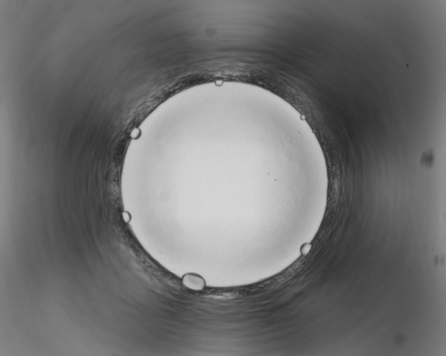 X0000115630411200912221253