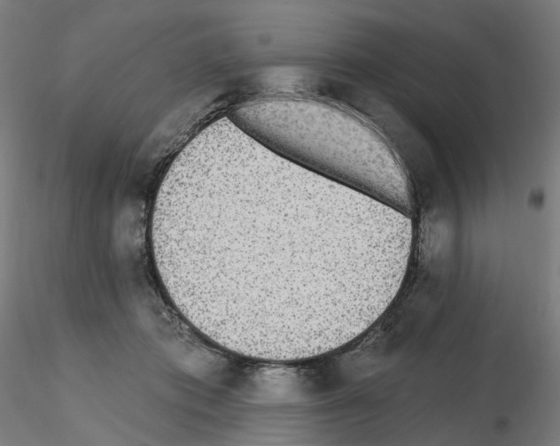 X0000115630413200912221253
