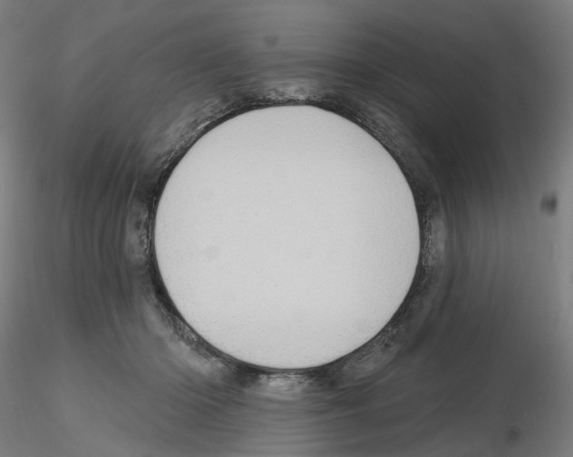 X0000115630414200912221253