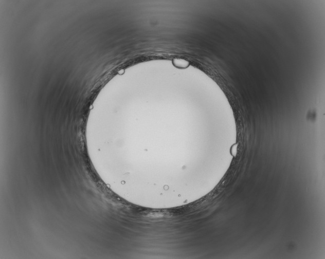 X0000115630415200912221253