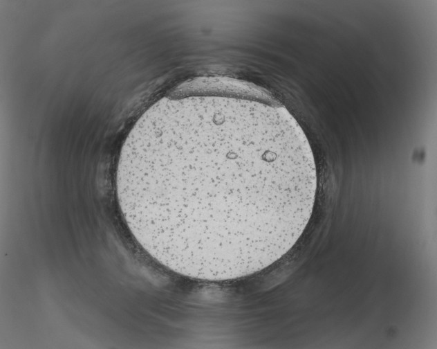X0000115630416200912221253