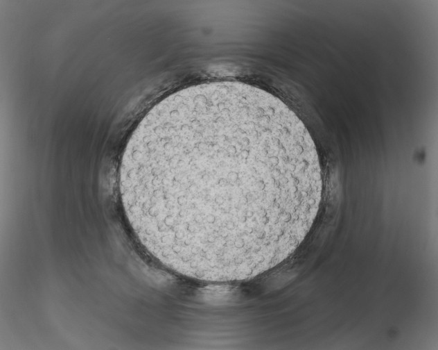 X0000115630418200912221253