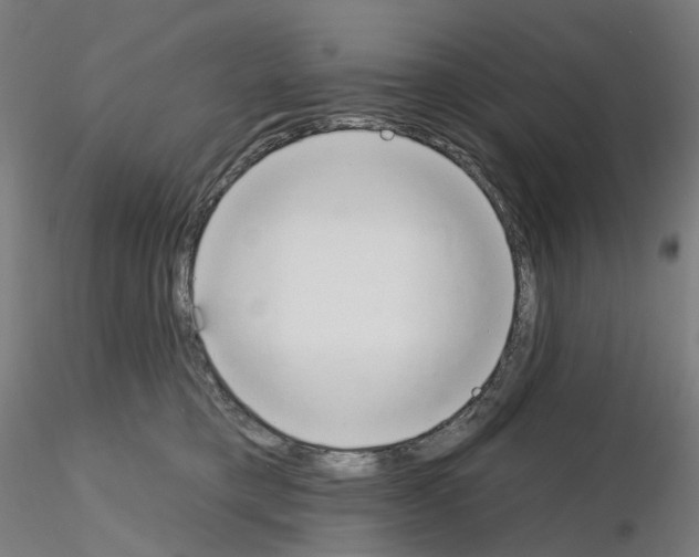 X0000115630421200912221253