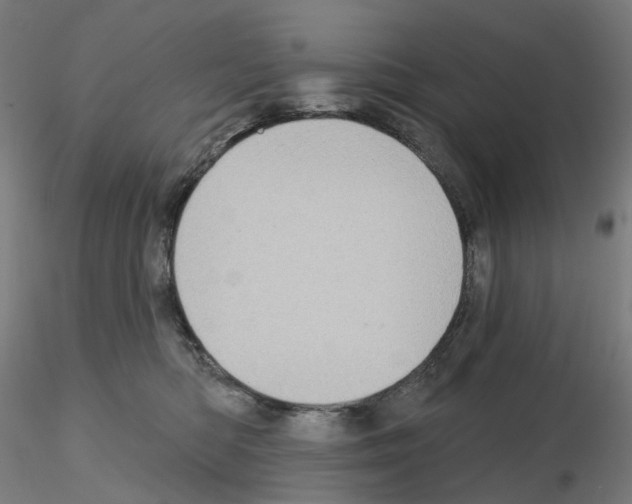 X0000115630422200912221253