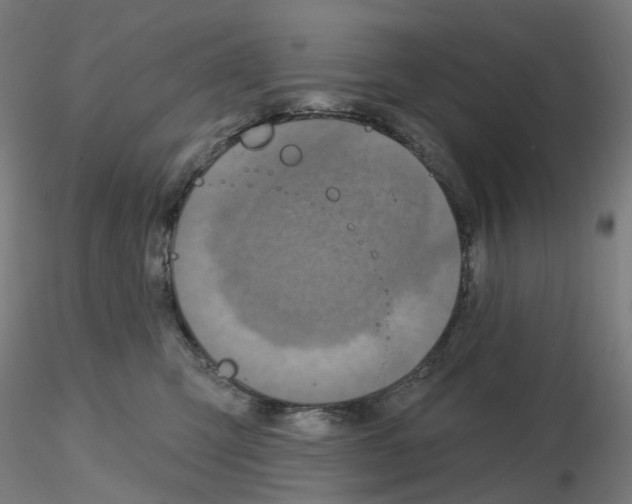X0000115630423200912221253