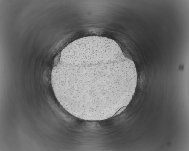 X0000115630424200912221253