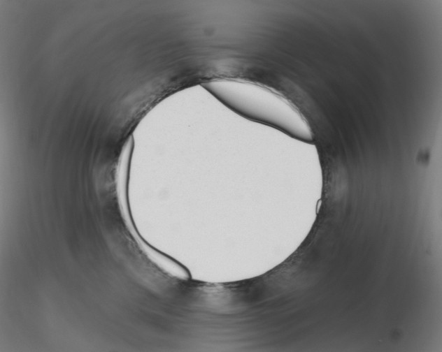 X0000115630425200912221253