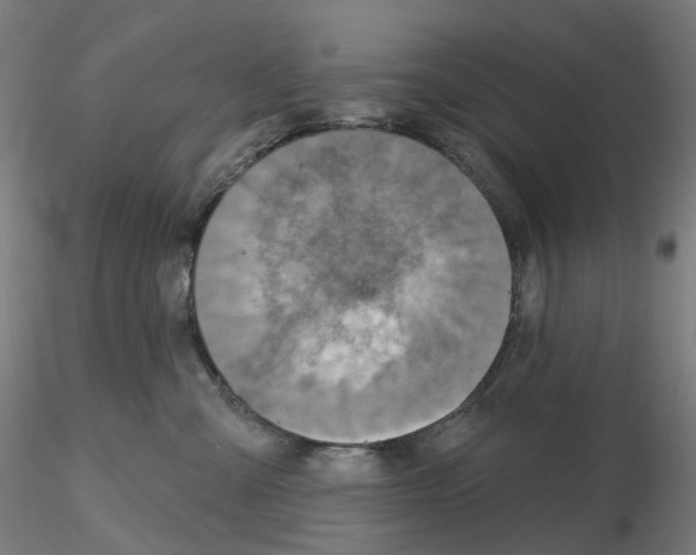 X0000115630427200912221253